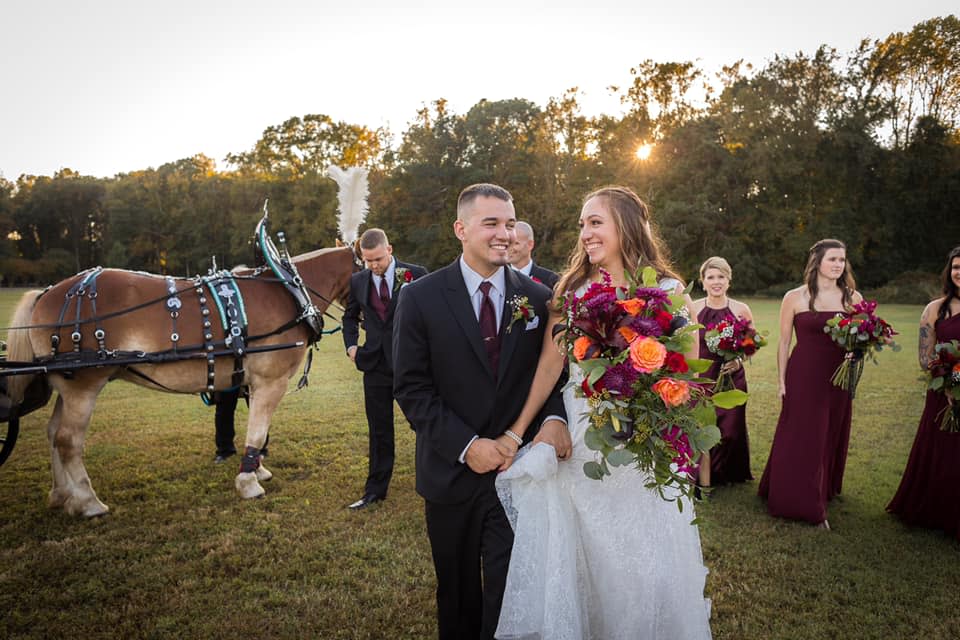 horse and carriage rides